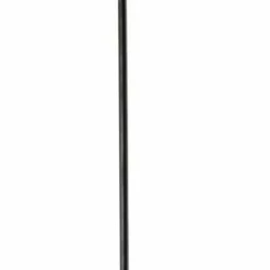 Dt-swiss DT Swiss Competition Race Eger J-Bend 276mm